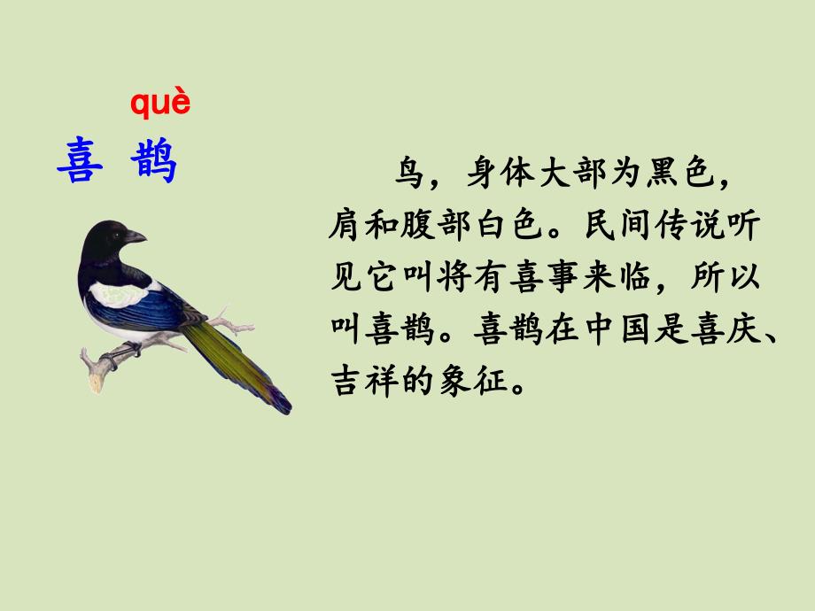 部编本一年级语文下册6-树和喜鹊ppt课件_第1页