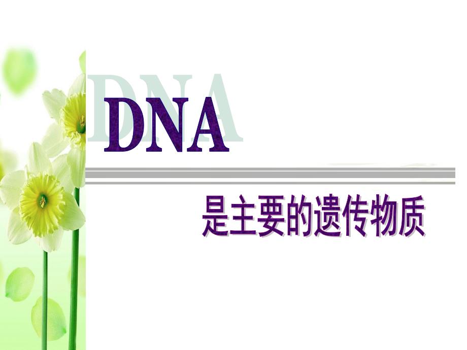 高三一轮复习-DNA是主要的遗传物质-ppt课件_第1页