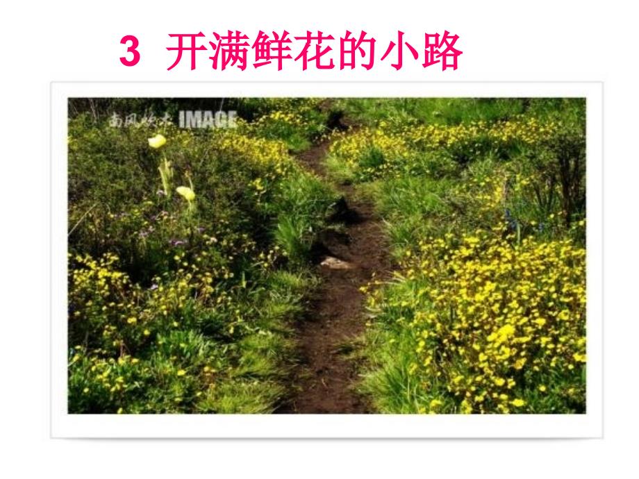 《开满鲜花的小路》课件_第1页