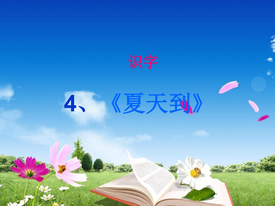 公开课《夏天到》(幼儿园课件)_第1页