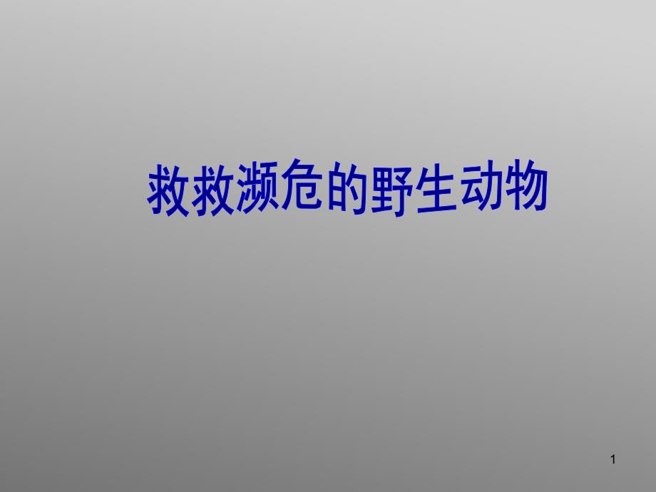 六年级下册综合实践活动救救濒危的野生动物课件_第1页