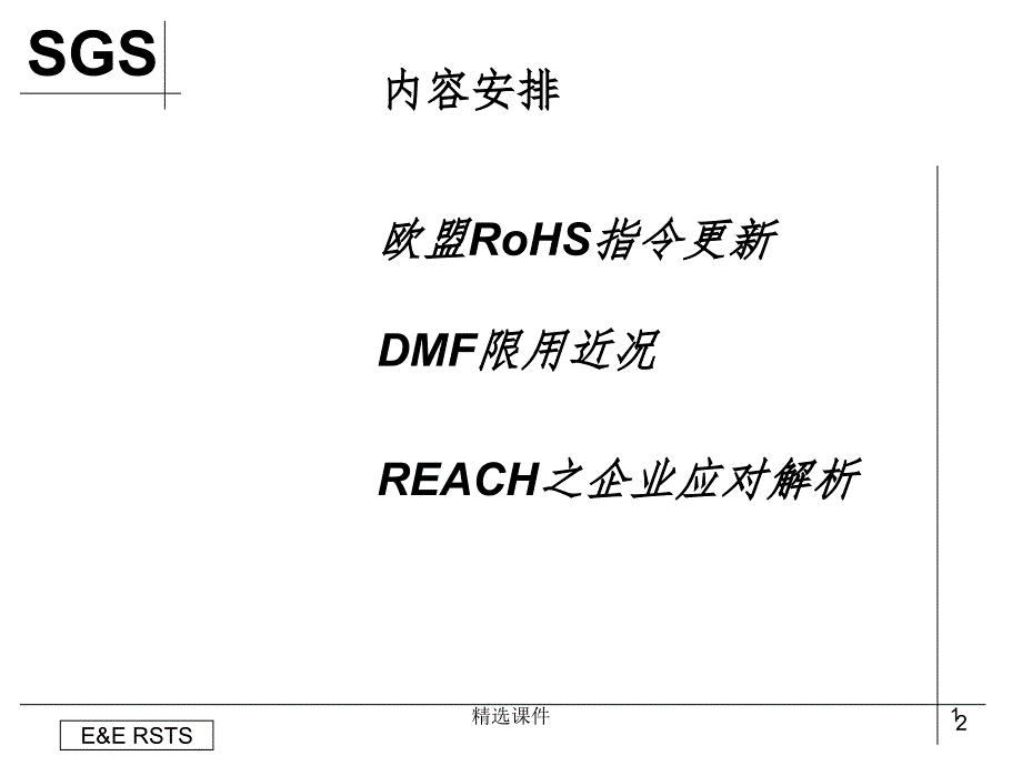 SGS报告详细内容课件_第1页