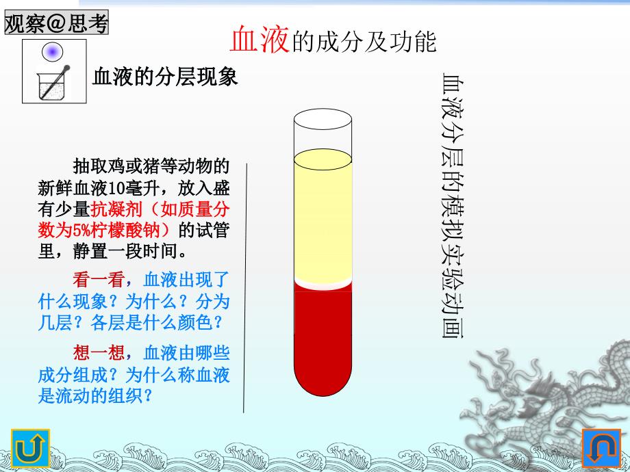 人教版生物七年级下册《流动的组织血液》课件_第1页