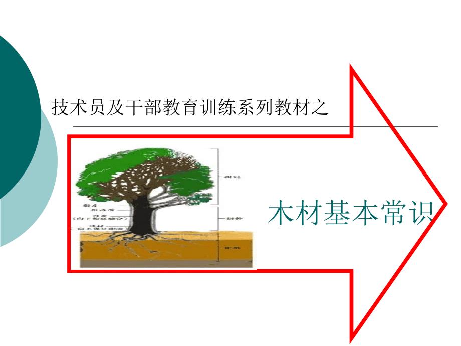 木材基本常识大型台资厂技术员培训手册1课件_第1页