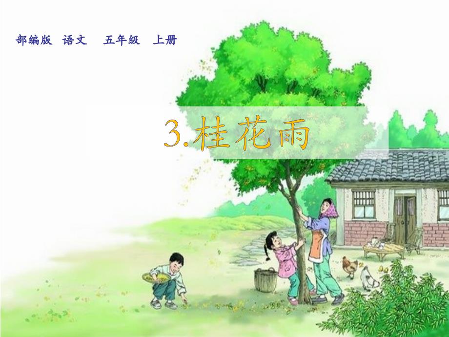 部编版五年级语文上册第3课桂花雨教学设计课件_第1页