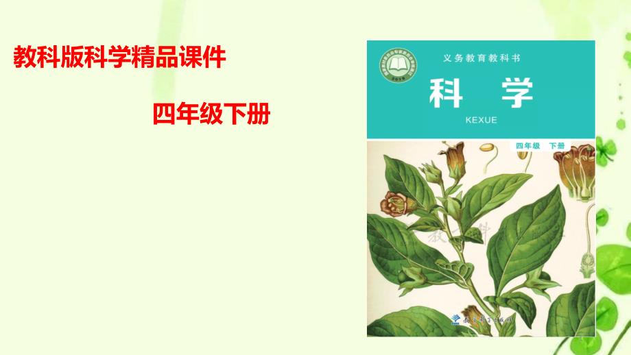 教科版小学科学四年级下册1.8凤仙花的一生(教学ppt课件)_第1页