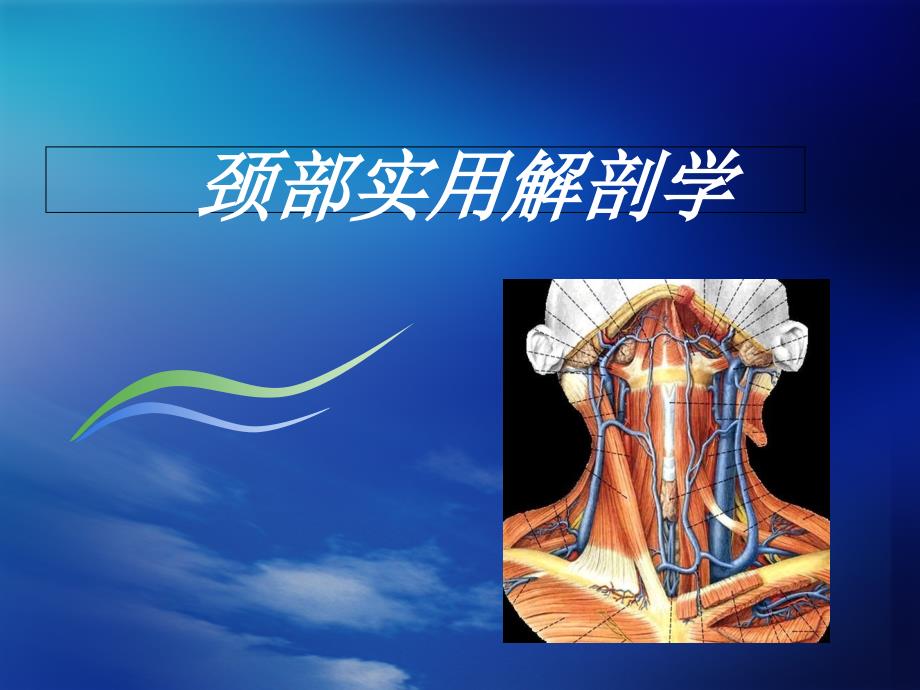 颈部实用解剖学-课件_第1页