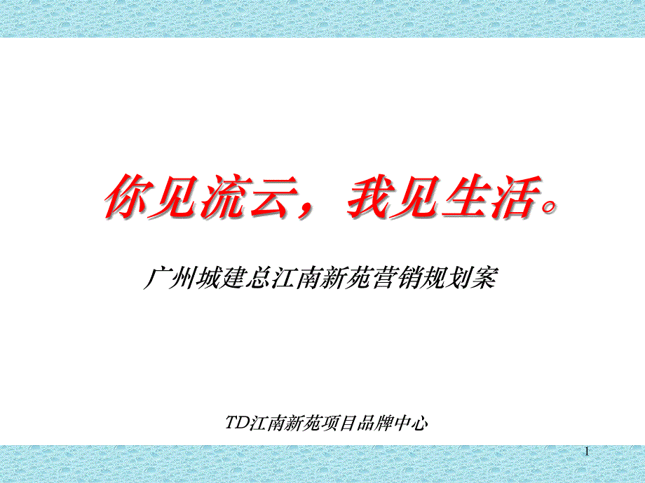 广州某营销规划案课件_第1页