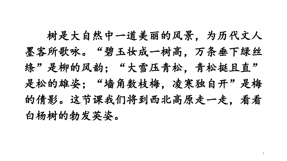 部编人教版八年级语文上册《白杨礼赞》ppt课件_第1页