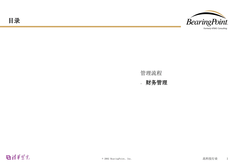 bearingpoint财务管理流程课件_第1页