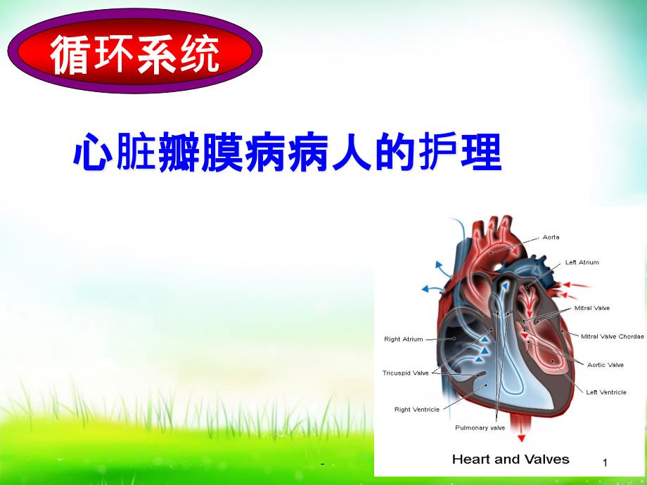 心脏瓣膜病病人的护理课件_第1页