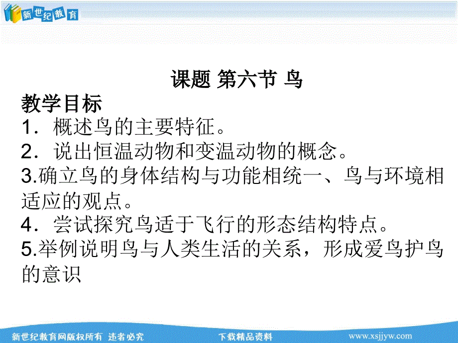 第六节鸟(ppt课件+教案)(打包2份)_第1页