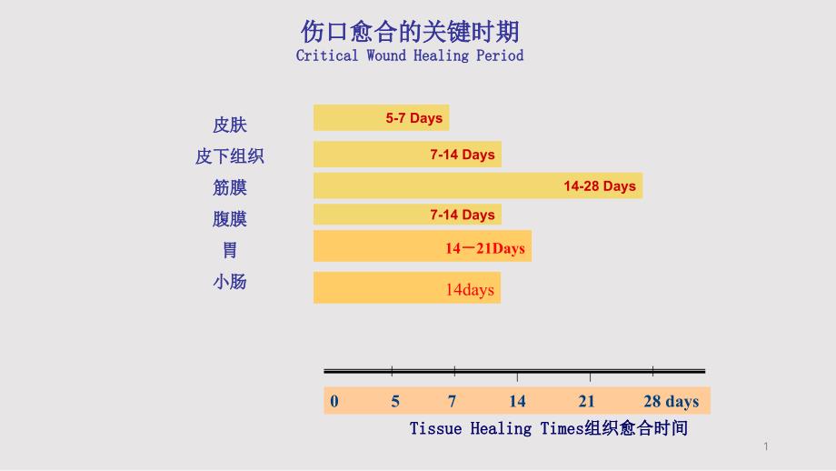 消化道吻合手术对缝针缝线的选择课件_第1页