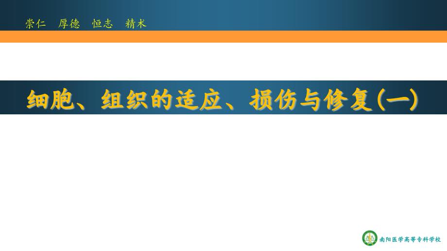 細(xì)胞、組織的適應(yīng)、損傷與修復(fù)(一)課件_第1頁