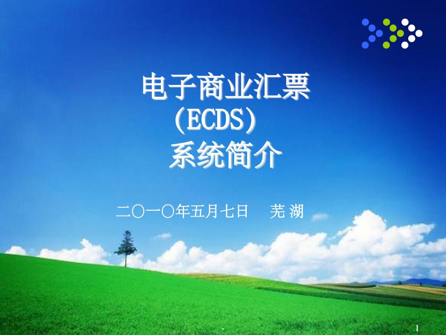 电子商票(ECDS)系统简介课件_第1页