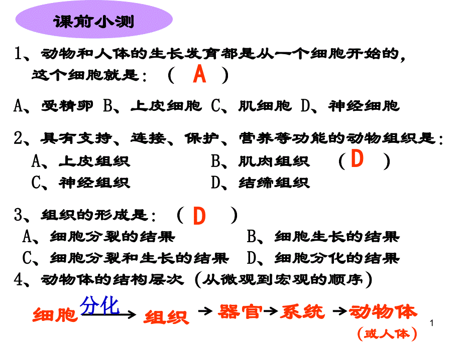 植物体的结构层次课件_第1页