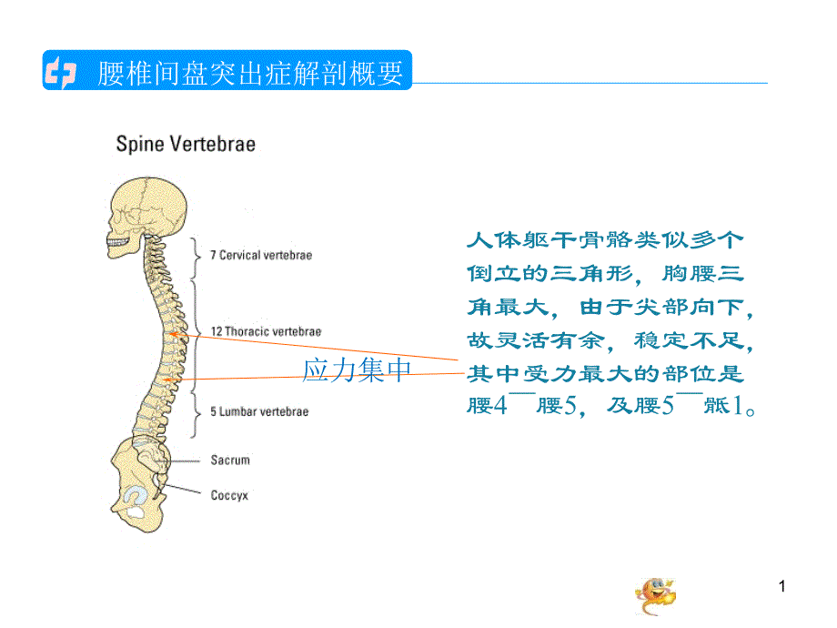 腰椎间盘突出的护理查房课件_第1页