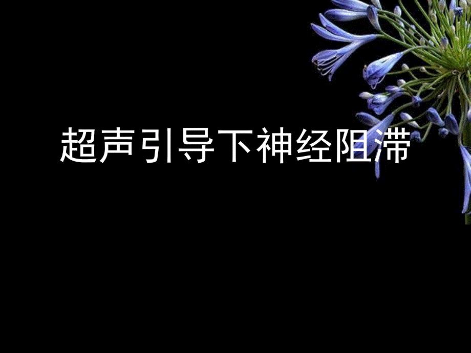 超声引导下神经阻滞参考ppt课件_第1页