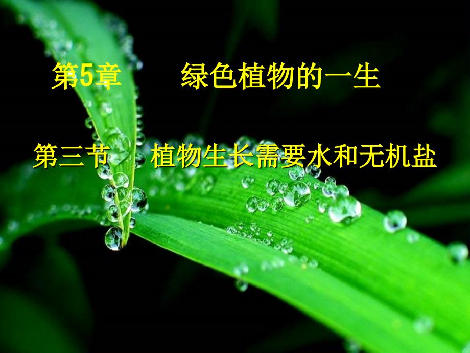 植物生长需要水和无机盐_第1页