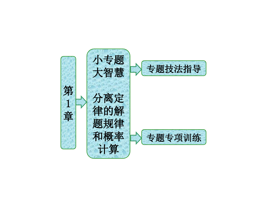 第1部分--第1章--第1节--小专题--大智慧--分离定律的解题规律和概率计算课件_第1页