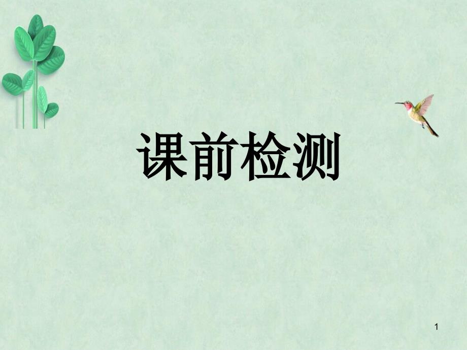 淡妆浓抹总相宜——语言的色彩课件5-人教课标版_第1页