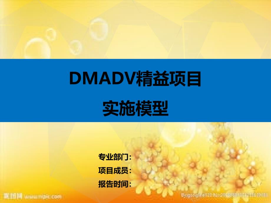 精益项目DMADV实施模型课件_第1页