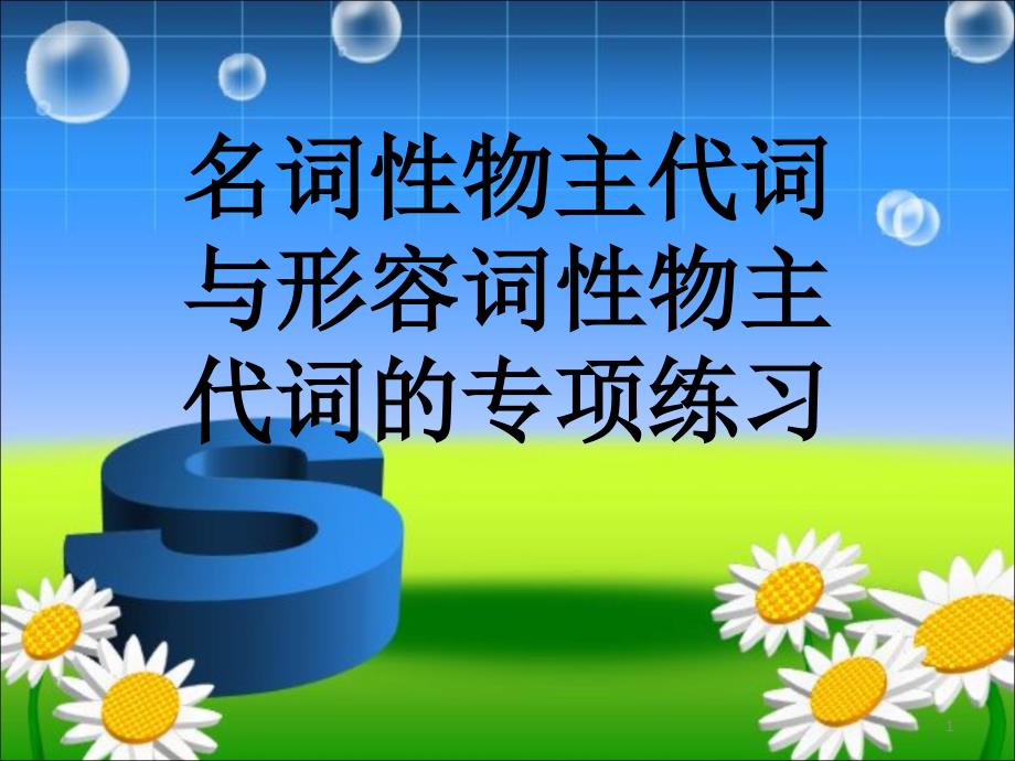 形容词性和名词性物主代词专项练习课件_第1页