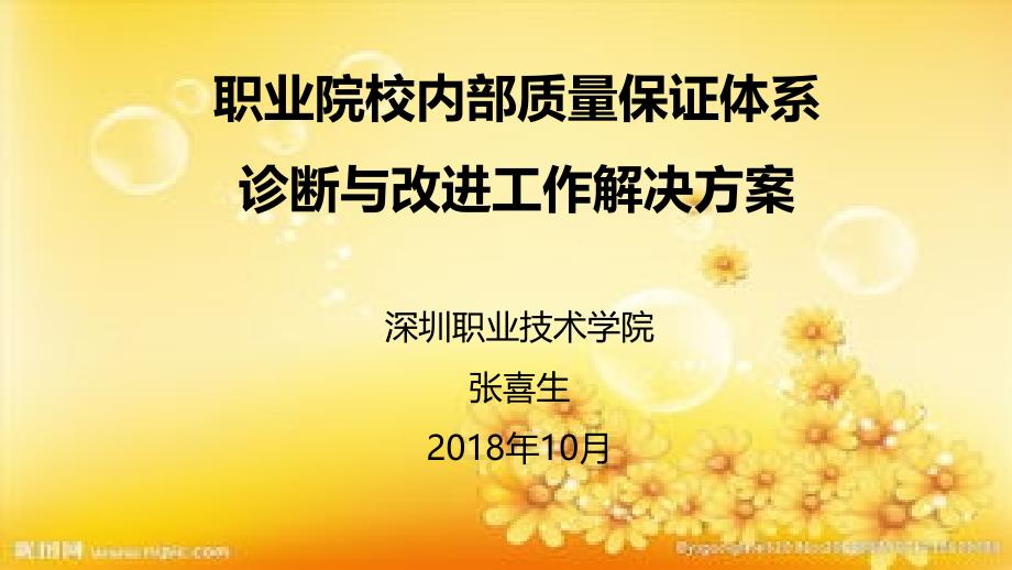 高职院校内部质量保证体系诊断与改进工作解决方案课件_第1页