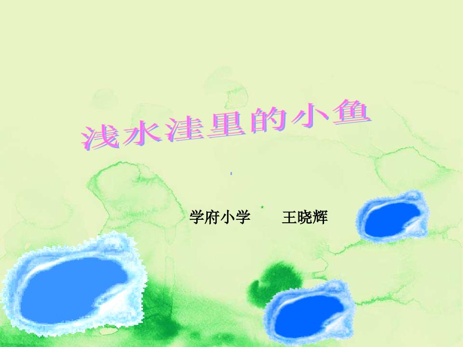 浅水洼里的小鱼(公开课件_第1页