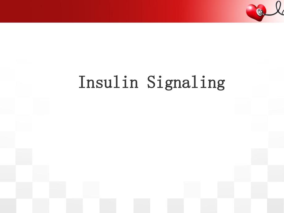 胰岛素信号通路ppt课件_第1页