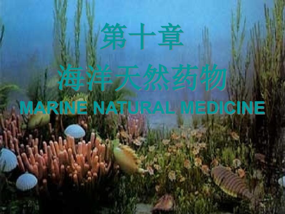 海洋天然产物课件_第1页