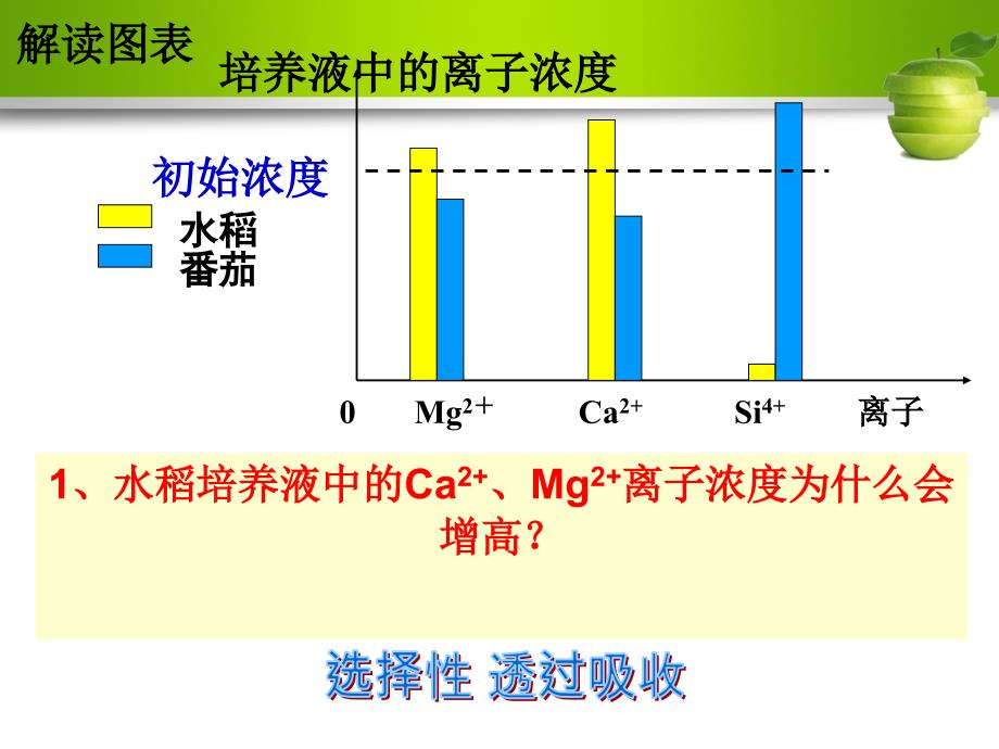 物质跨膜运输的方式最新(公开课)精讲课件_第1页