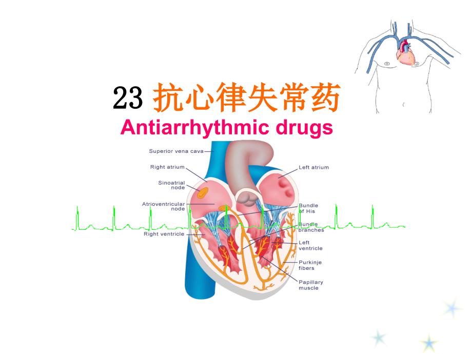 抗心律失常藥-2_第1頁