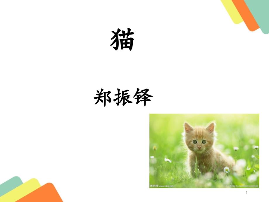 猫ppt课件汇编_第1页