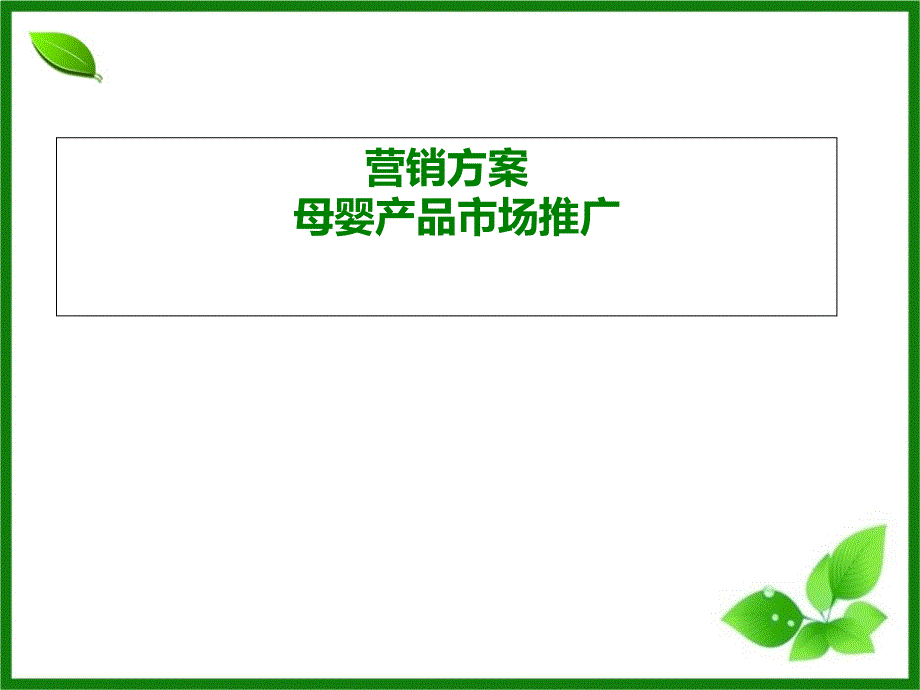 母婴系列产品详细策划方案课件_第1页