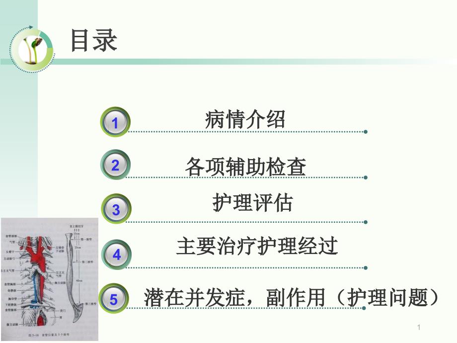 食道癌个案护理课件_第1页