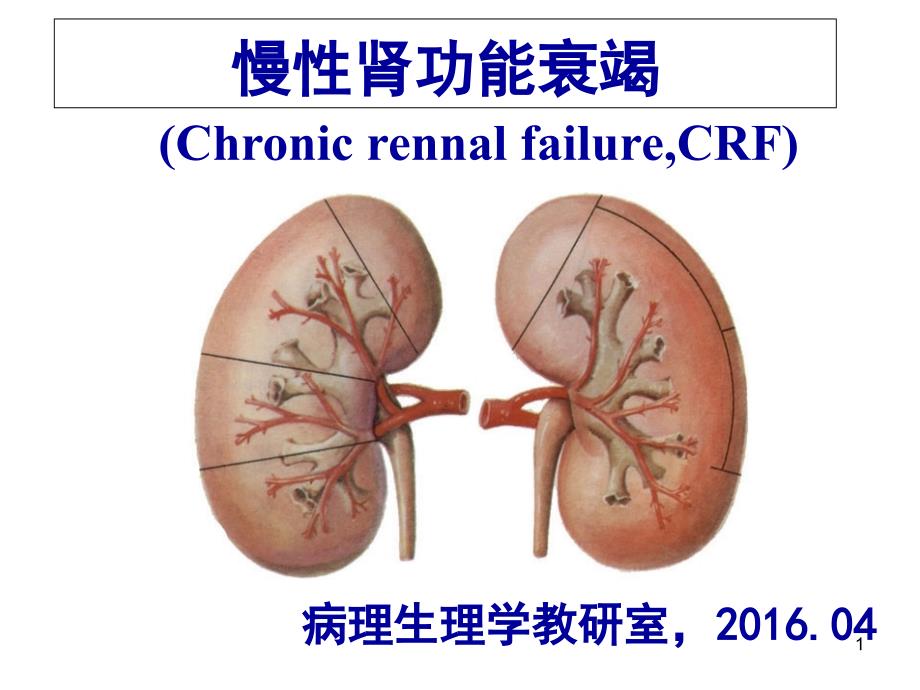 慢性肾功能不全课件_第1页