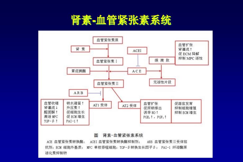 瑞泰HOPE研究简介课件_第1页