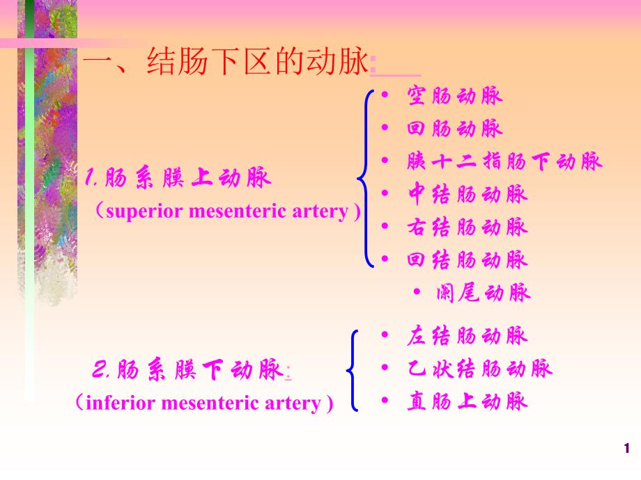 结肠下区解剖课件_第1页