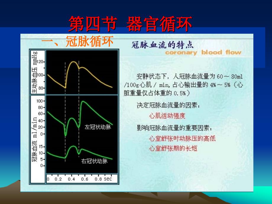 循环生理器官循环_第1页