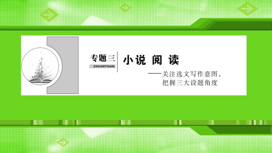 新课标高考语文二轮复习专题-小说阅读课件_第1页