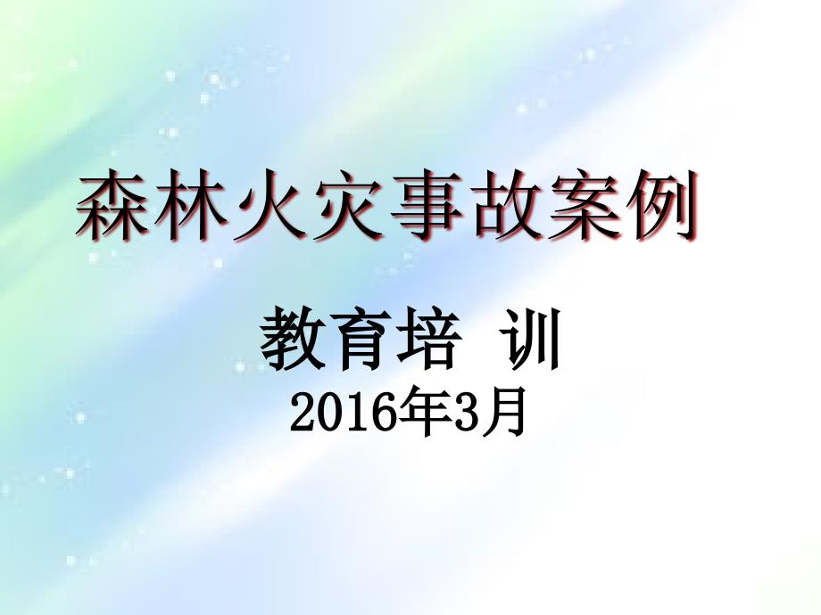 森林火灾事故案例课件_第1页