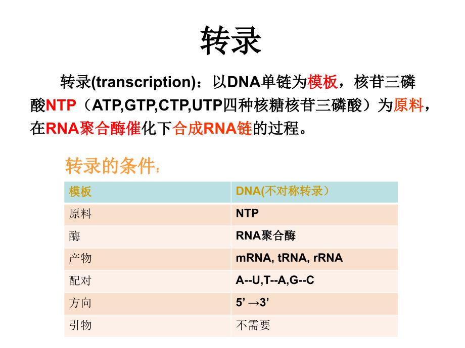 脱氧核糖核酸转录课件_第1页