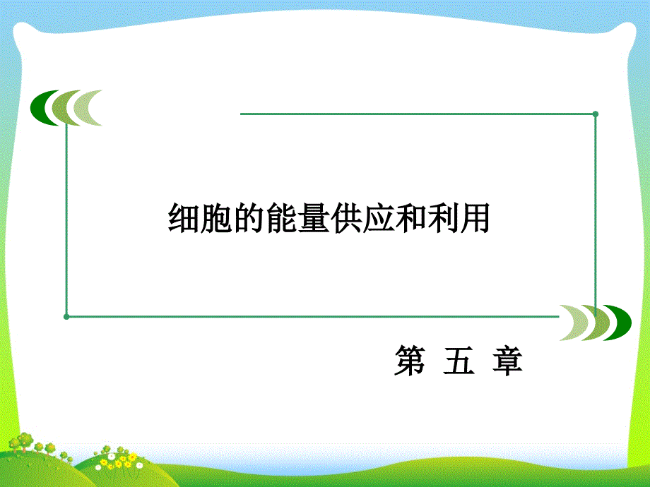 细胞的能量供应与应用-ppt课件_第1页