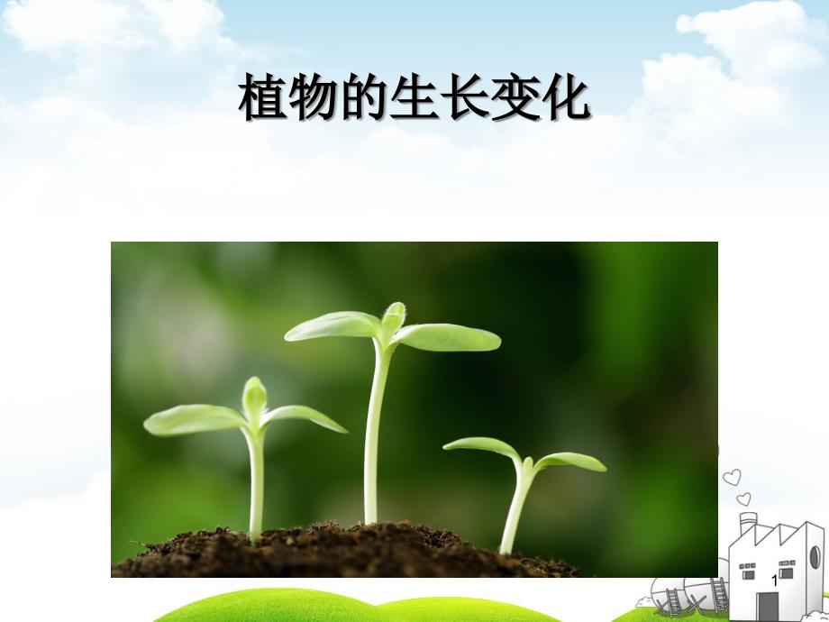 教科版《植物的生长变化》》课件_第1页