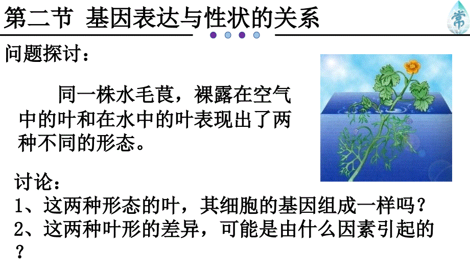 第二节基因表达与性状的关系PPT优质公开课课件_第1页