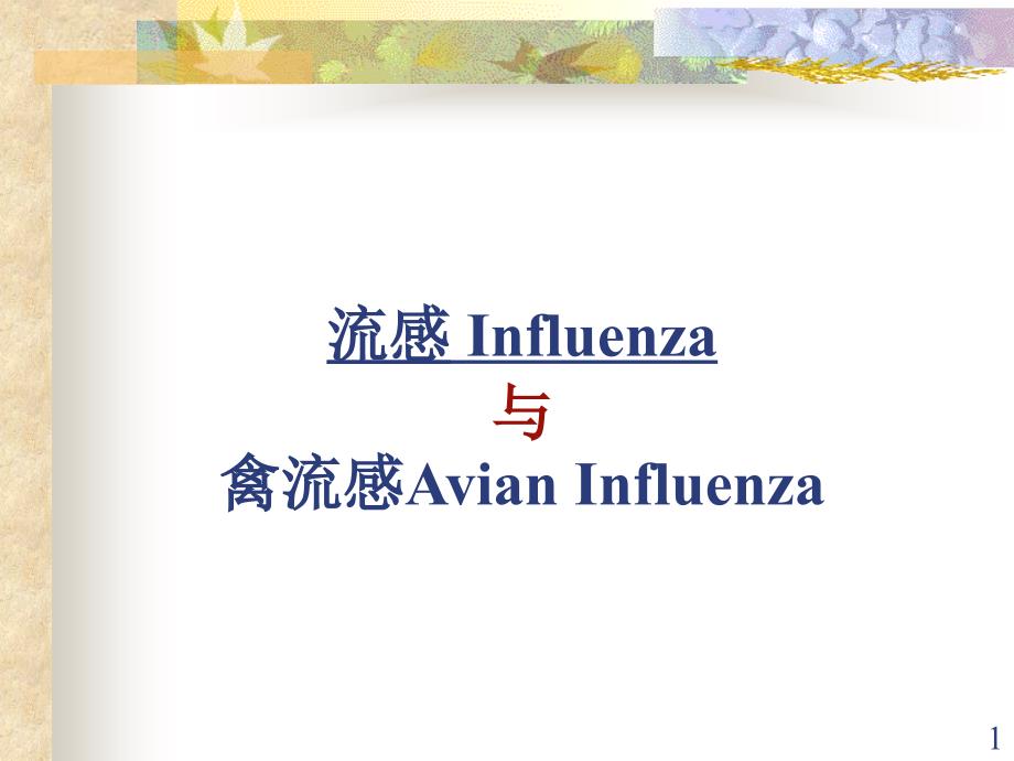 第十九章流感Influenza与禽流感AvianInfluenza课件_第1页