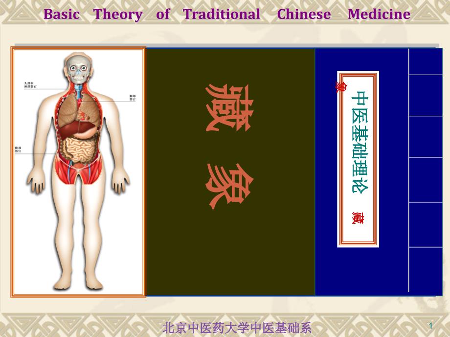 藏象学说-五脏肾课件_第1页