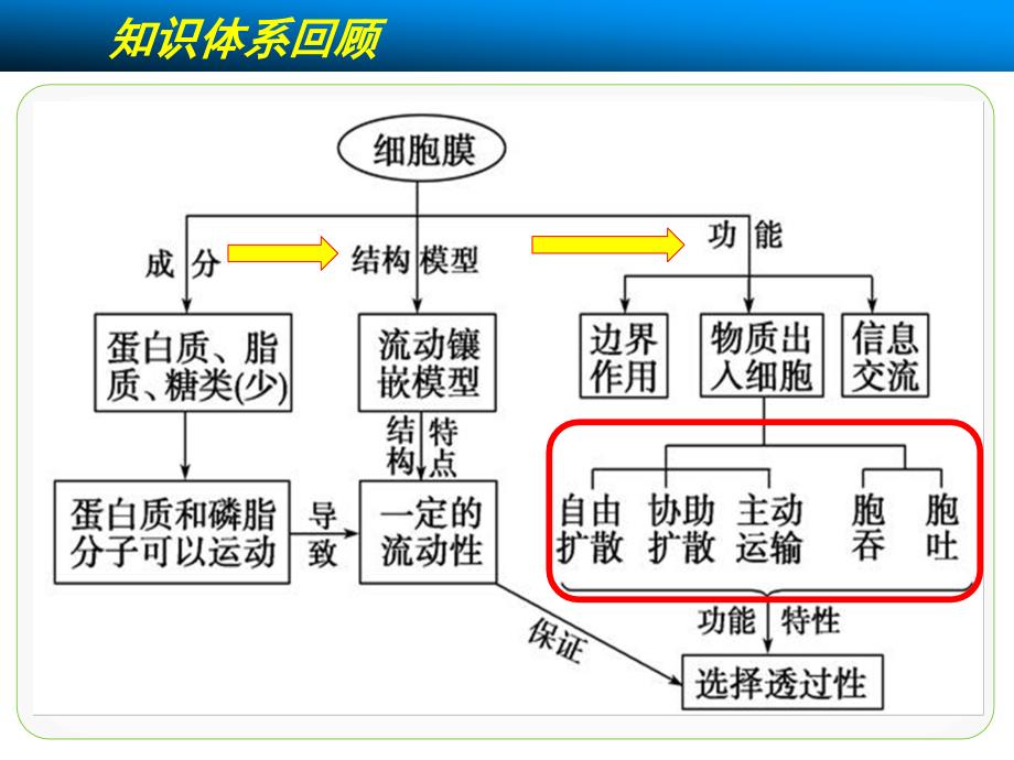 高考一轮复习《物质进出细胞的方式》教学ppt课件_第1页