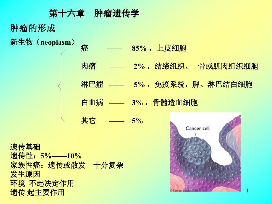 肿瘤遗传学课件_第1页